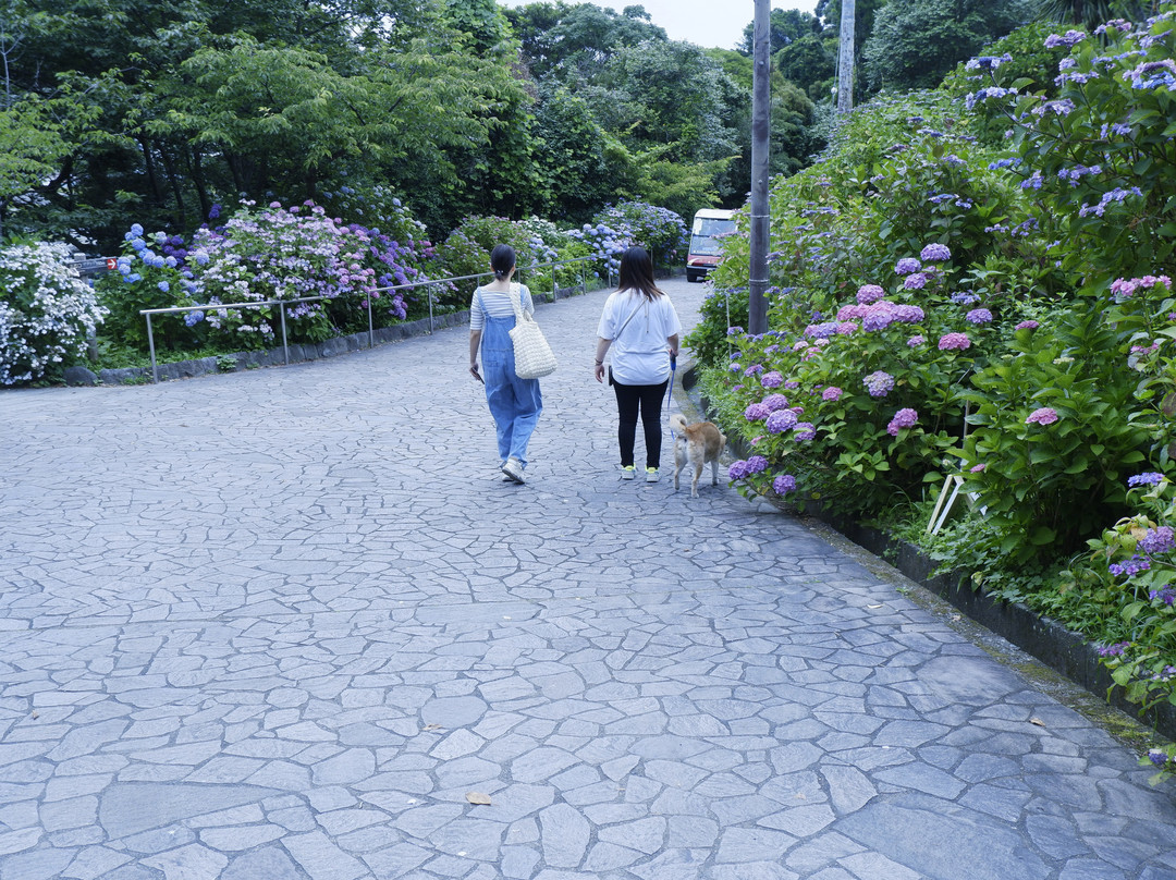 Shimoda Park景点图片