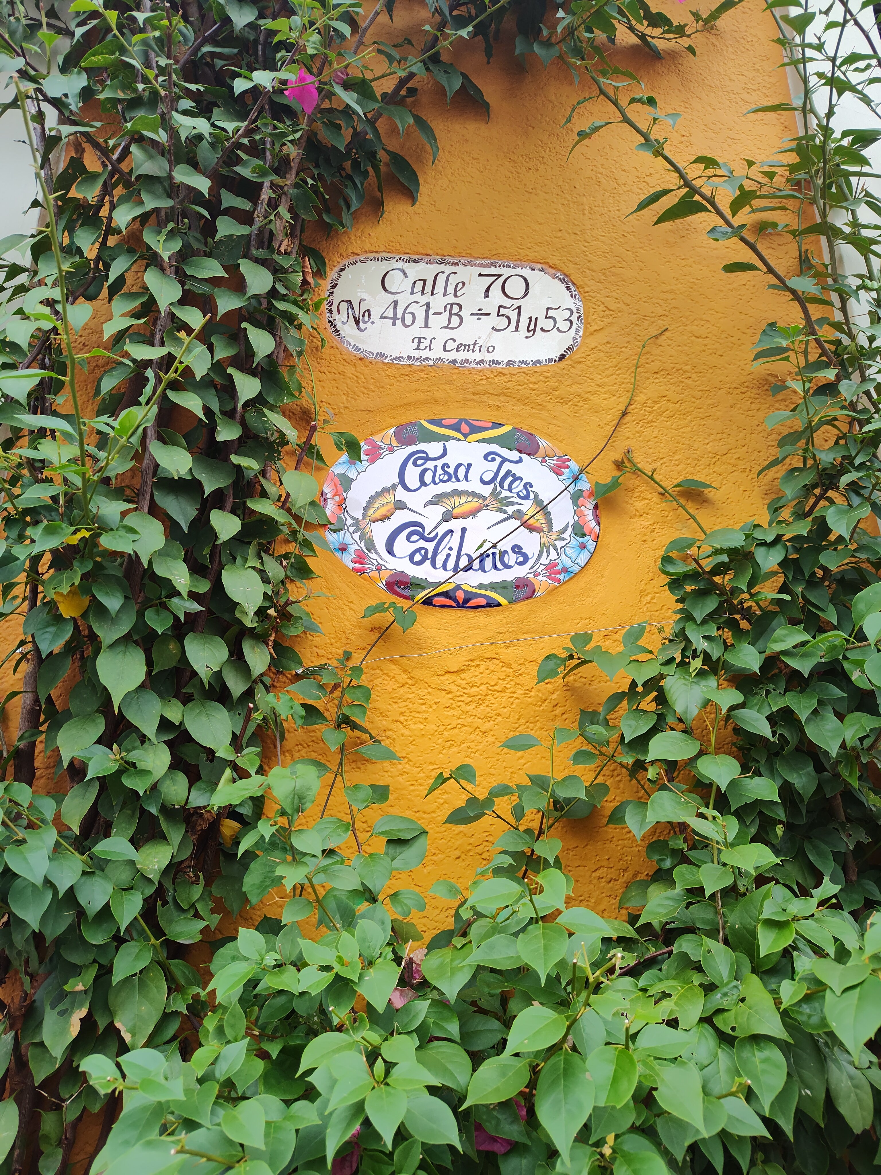 Casa Tres Colibries-官方