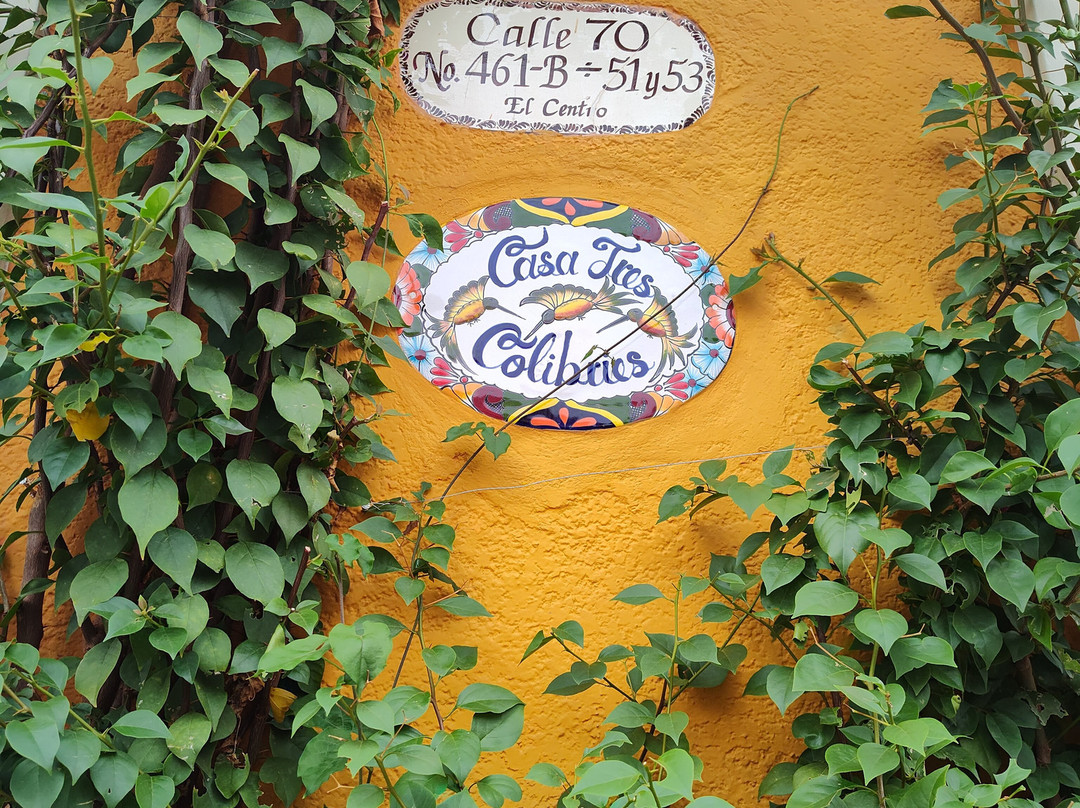 Casa Tres Colibries主图