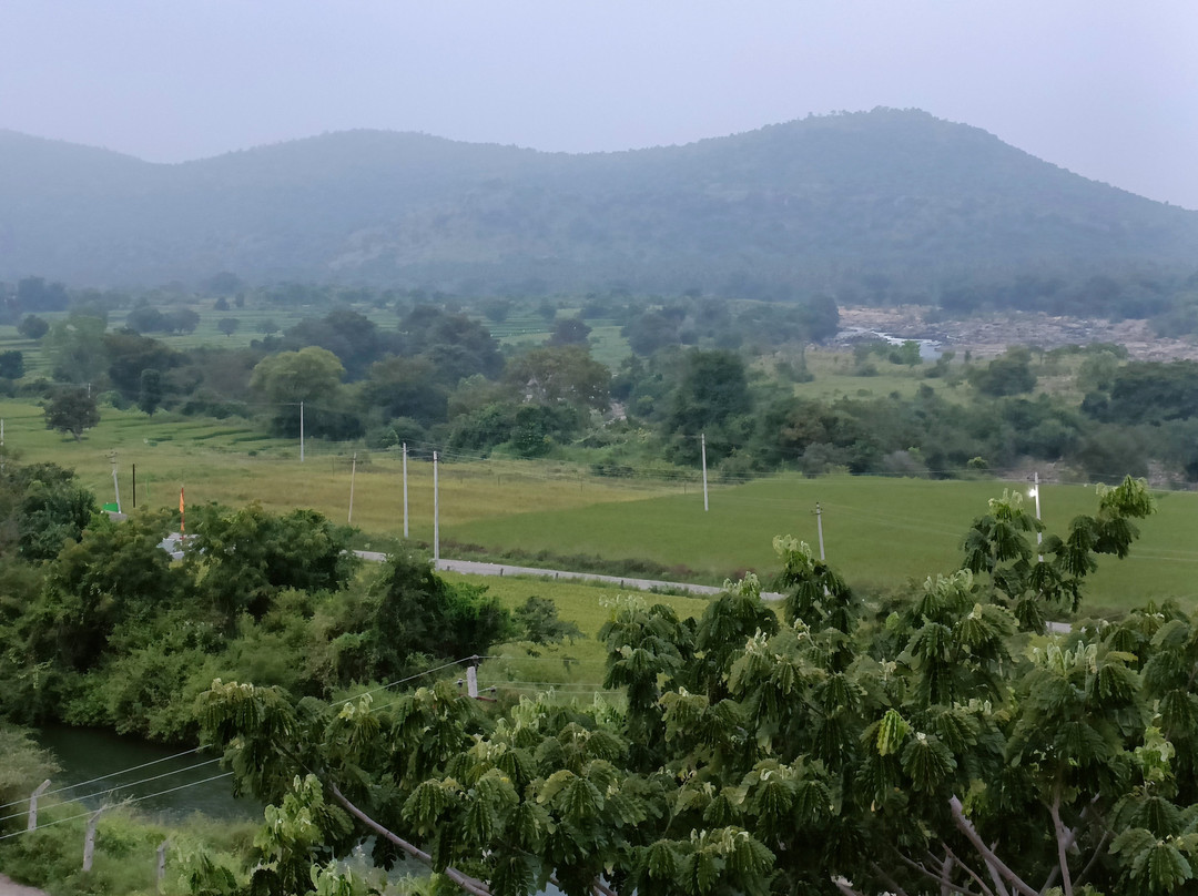 Hotel Mayura Bharachukki主图