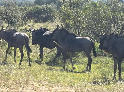 Thula Seats-白河必去景点
