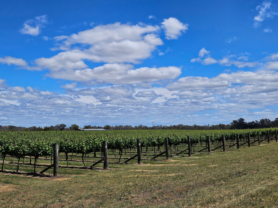 Mitchelton Wines-Nagambie必去景点