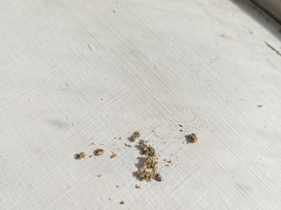 La Quinta Inn & Suites by Wyndham El Paso West Bartlett主图