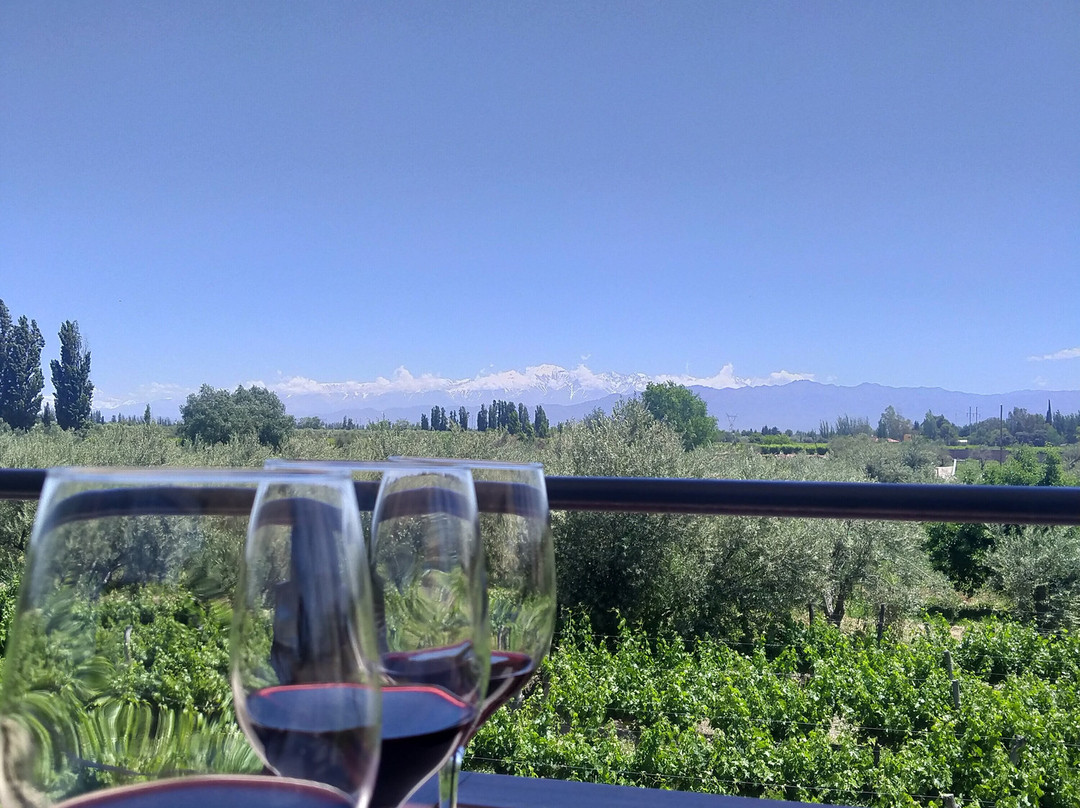 Mevi Bodega Boutique-Maipu必去景点