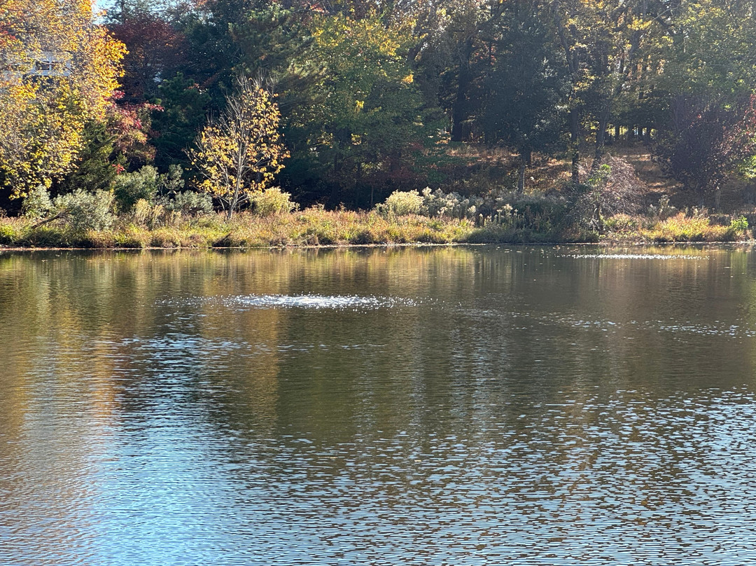 Lake Gerar Tot Lot-里霍博斯比奇必去景点