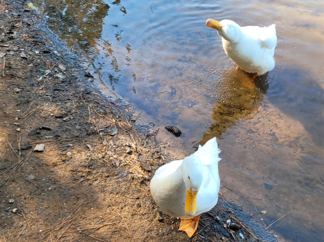 Monastery of the Holy Spirit-Conyers必去景点