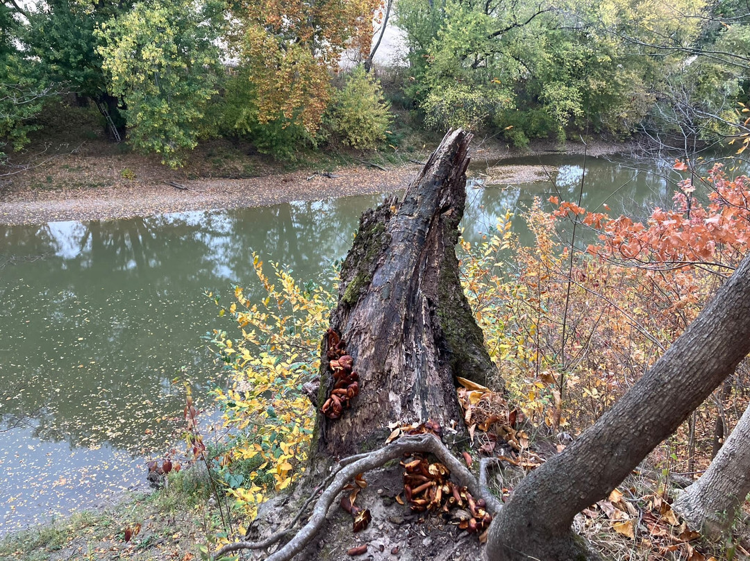 Schekelhoff Park-Tiffin必去景点