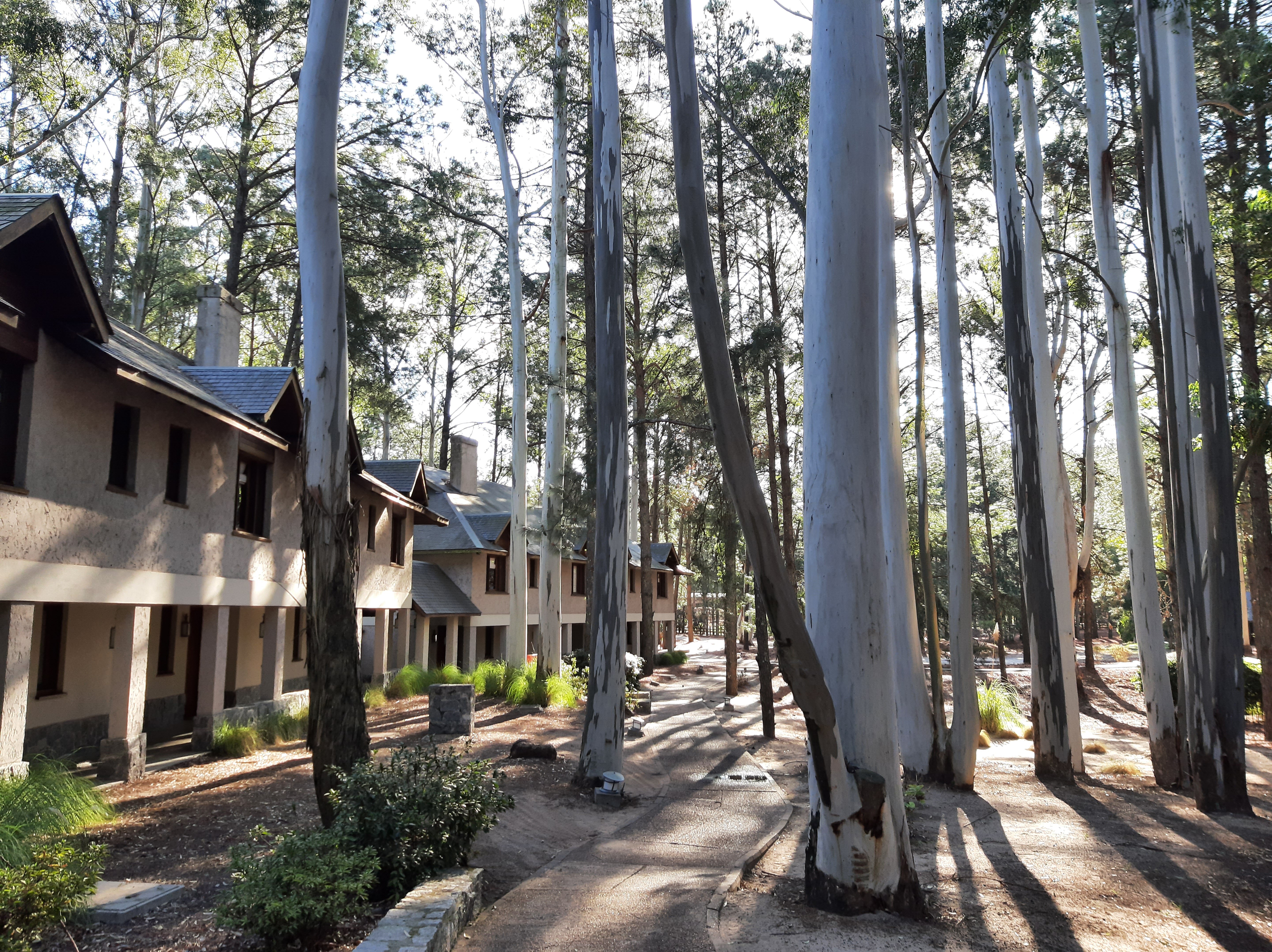 Carmelo Resort & Spa-浴室