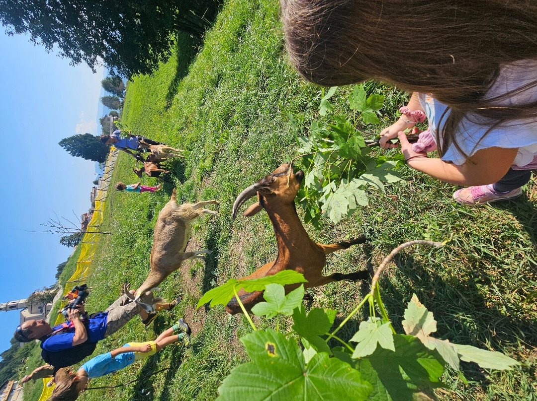 Maso Guez景点图片
