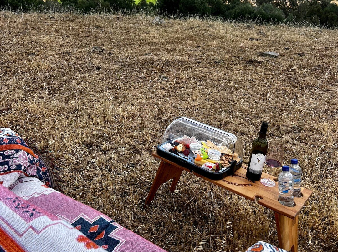 Barossa Helicopters景点图片