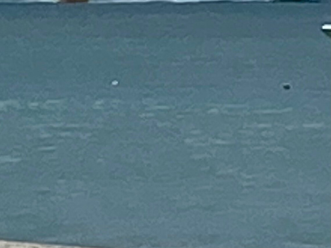 Fun 4 Every 1 Watersports Aruba-棕榈/鹰海滩必去景点