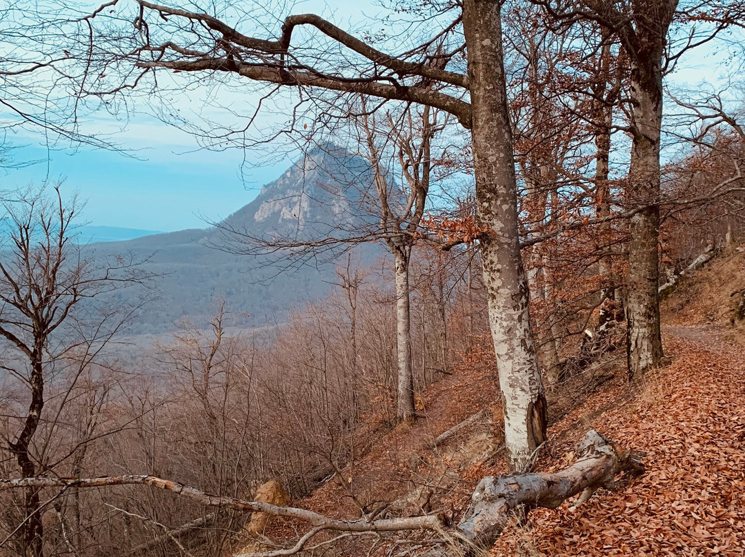 Zheleznaya Mountain景点图片