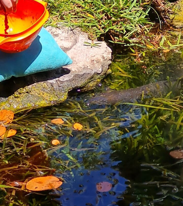 Stilbaai Toerisme-斯特尔拜必去景点