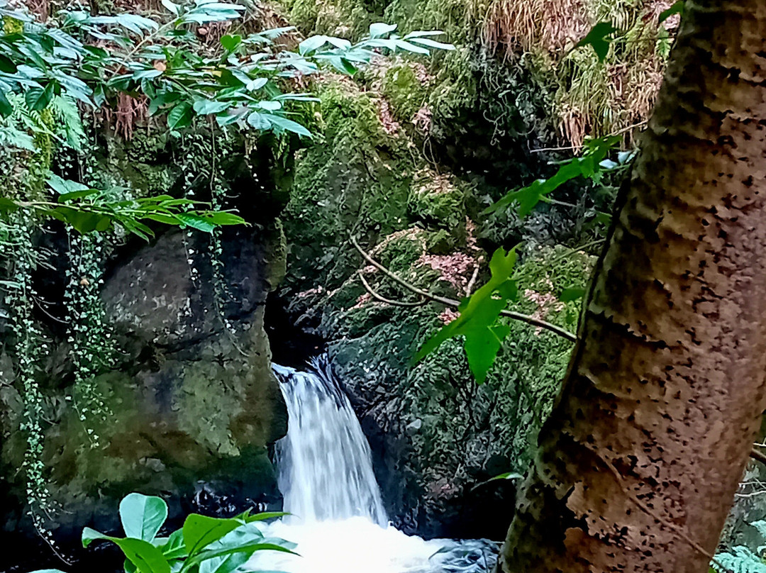 Rumbling Bridge Falls-Dunkeld必去景点