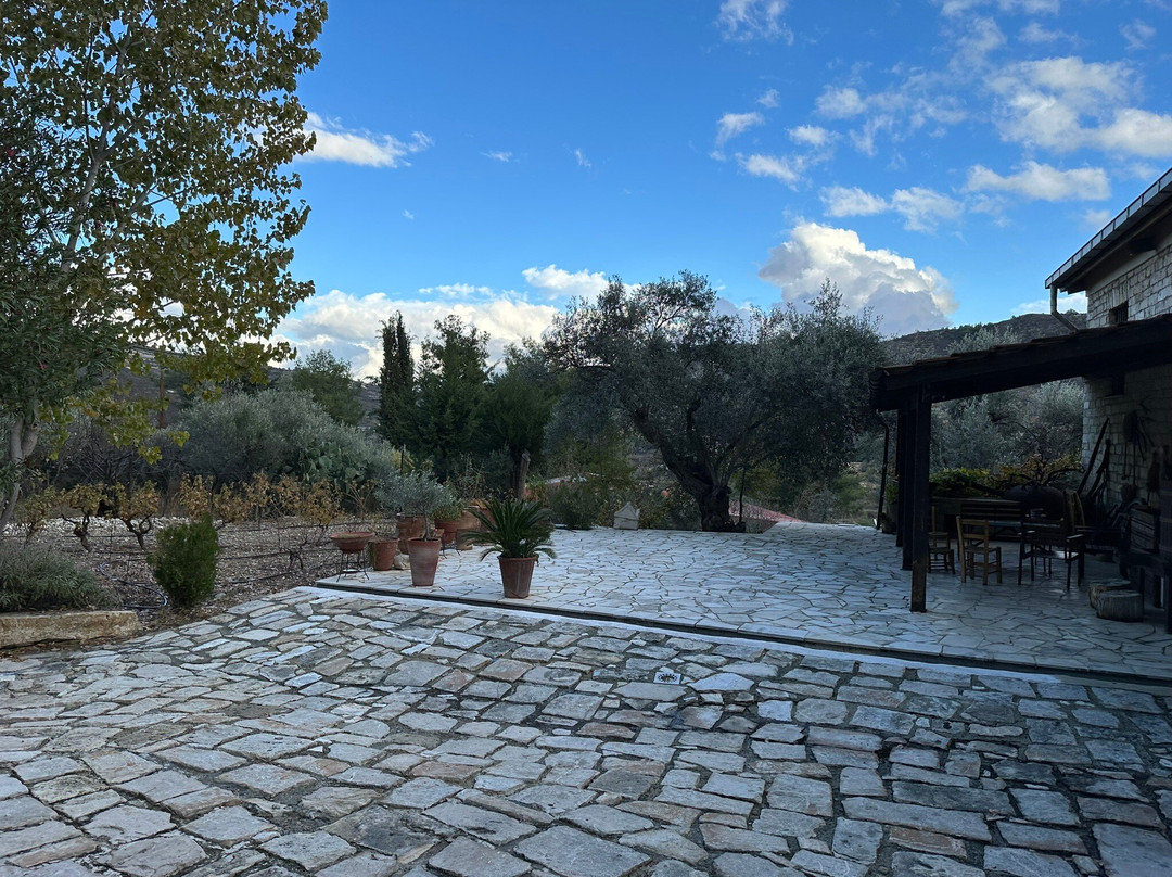 Ayia Mavri Winery-Koilani必去景点