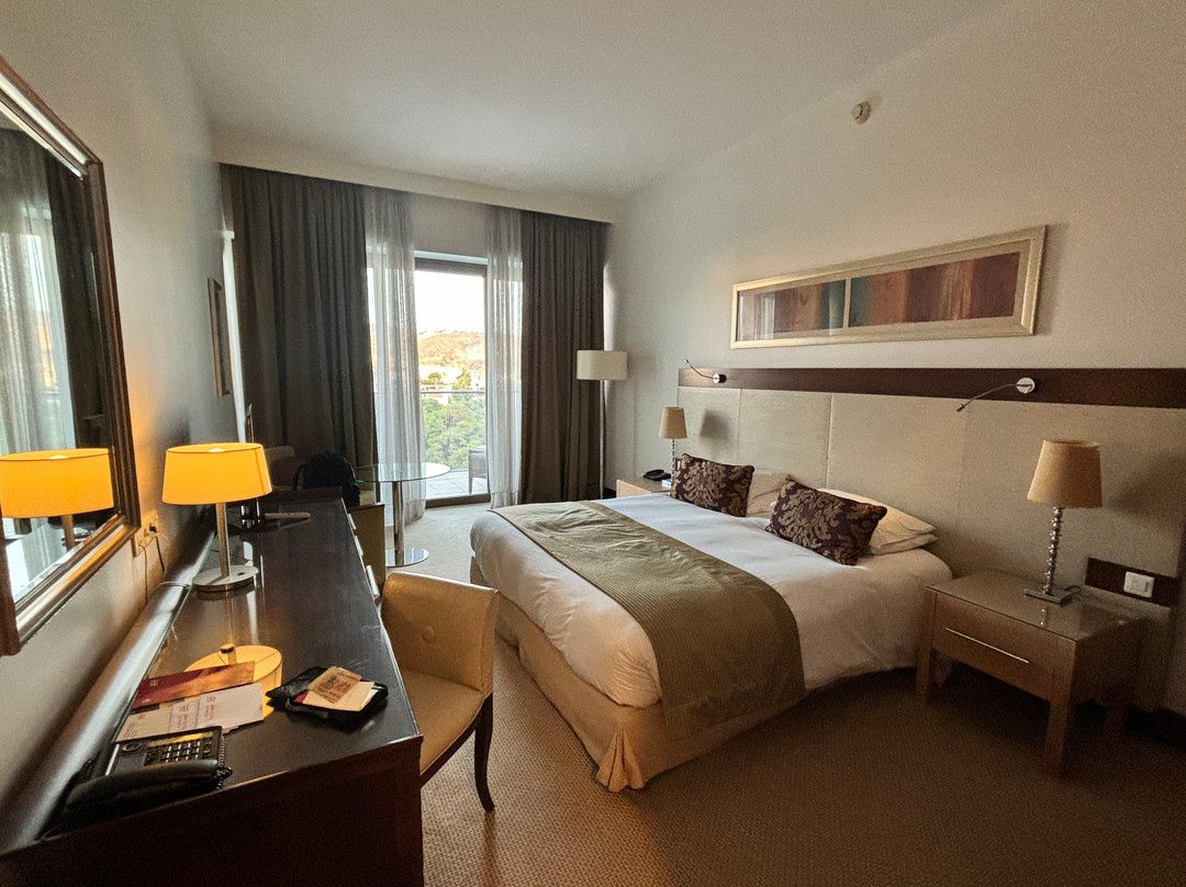 El Aurassi Hotel主图