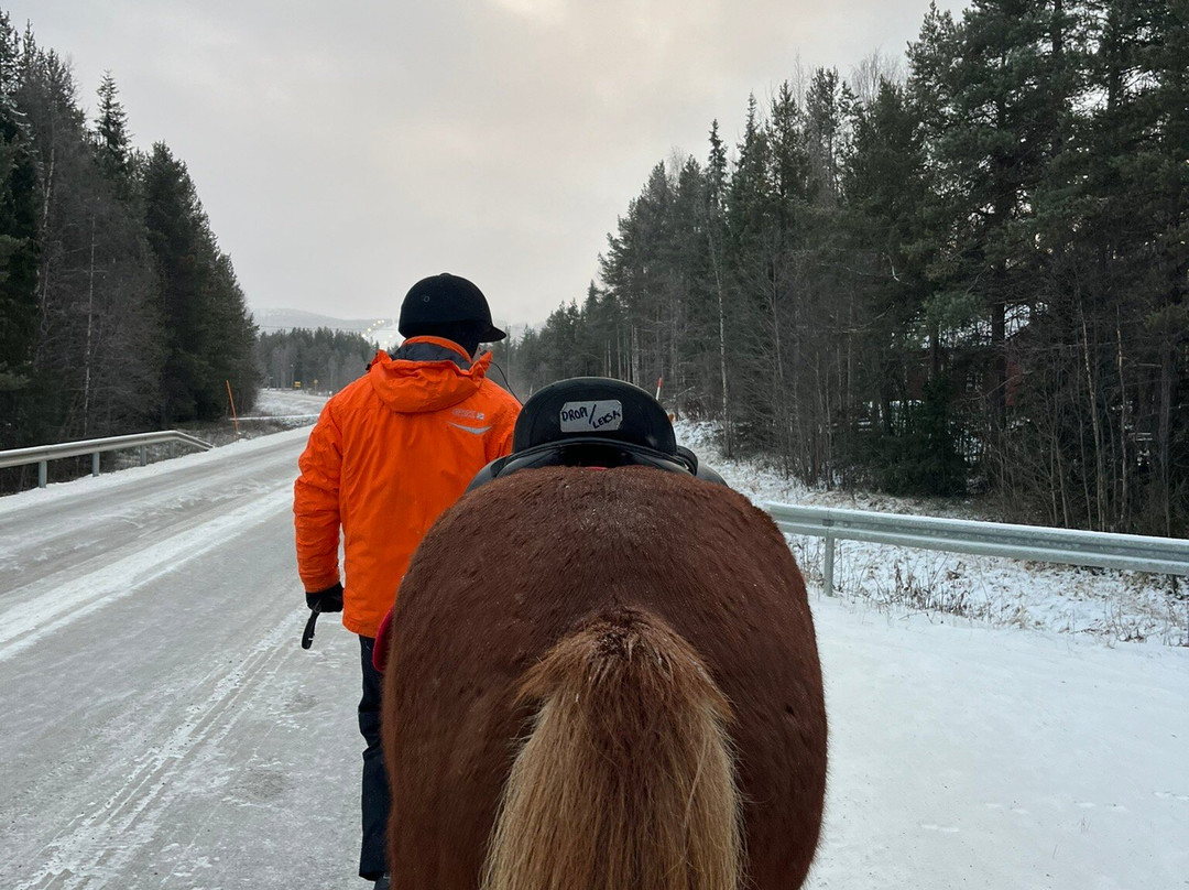 Lapin Saaga Icelandic Horse Stable in Levi-Sirkka必去景点