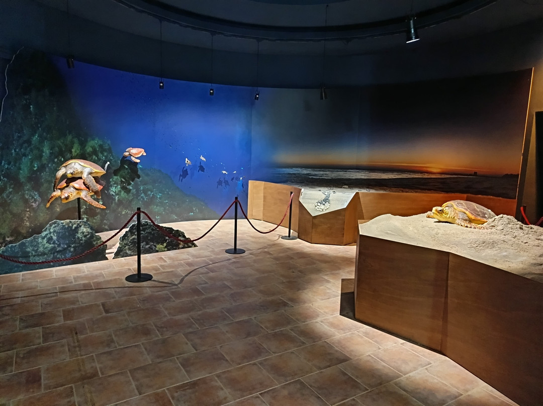 Museo di Storia Naturale del Salento-Calimera必去景点