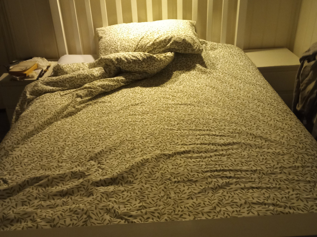 Brunton House Guest House主图