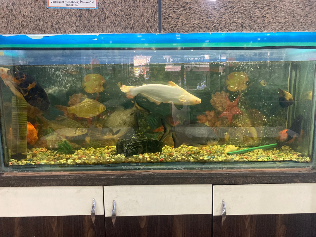 Hotel Royal Ajmer主图