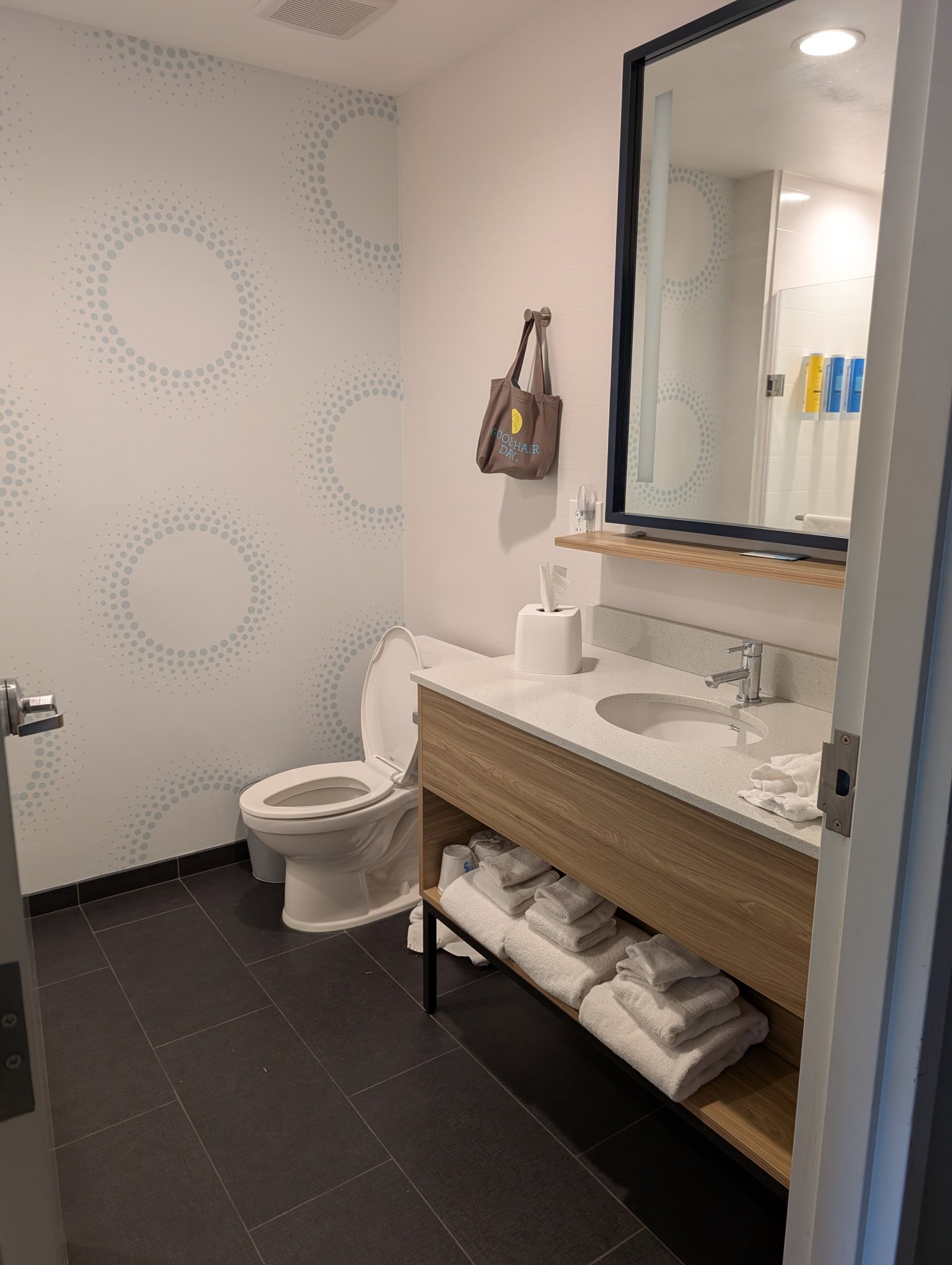 Tru by Hilton Winchester-浴室