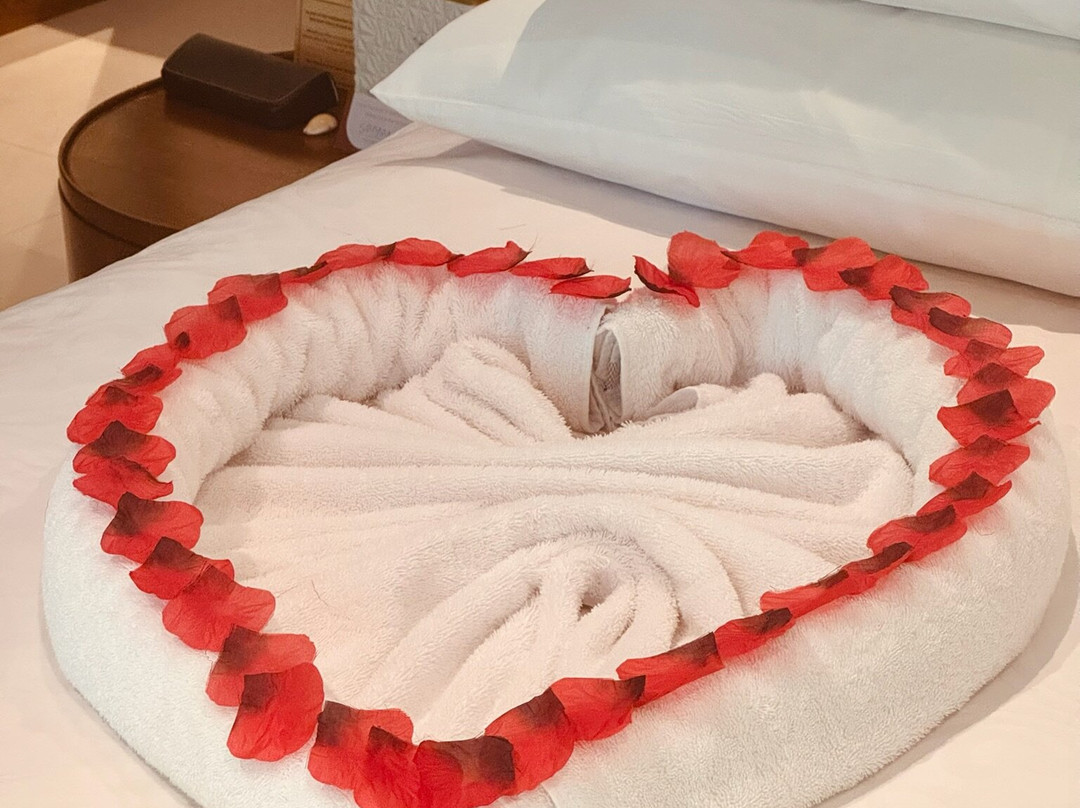 Varu By Atmosphere主图