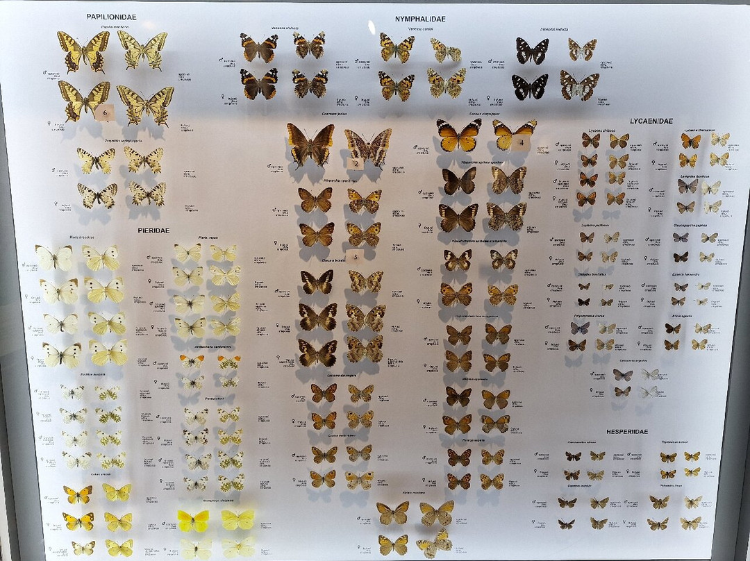 Episkopi Pafos Environmental Information Centre-Episkopi必去景点