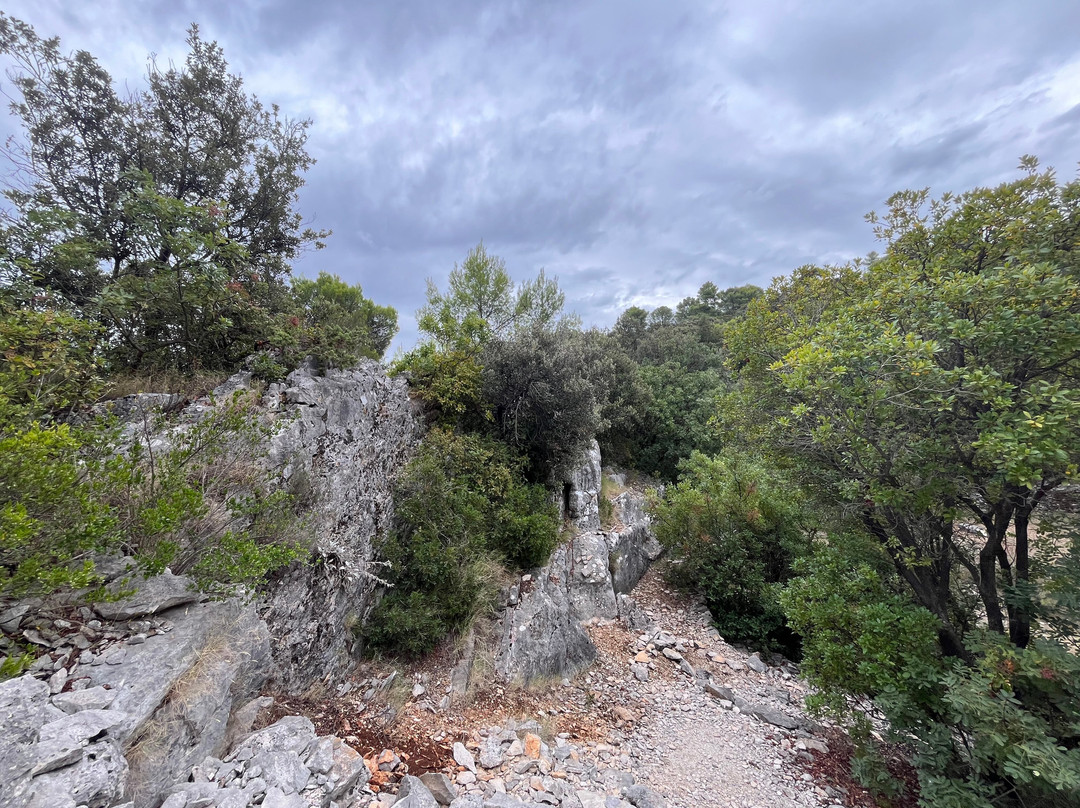 Splitska - Herkul - Central Dalmatia Croatia - Theme Trails