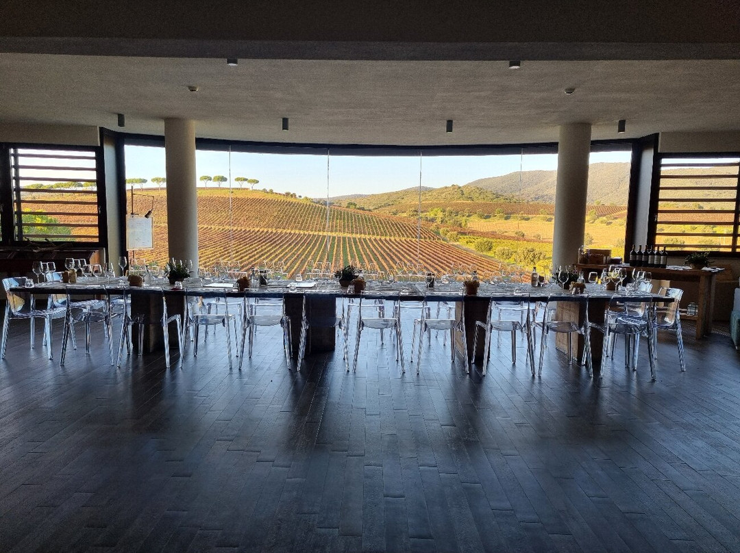 Fattoria Le Mortelle景点图片