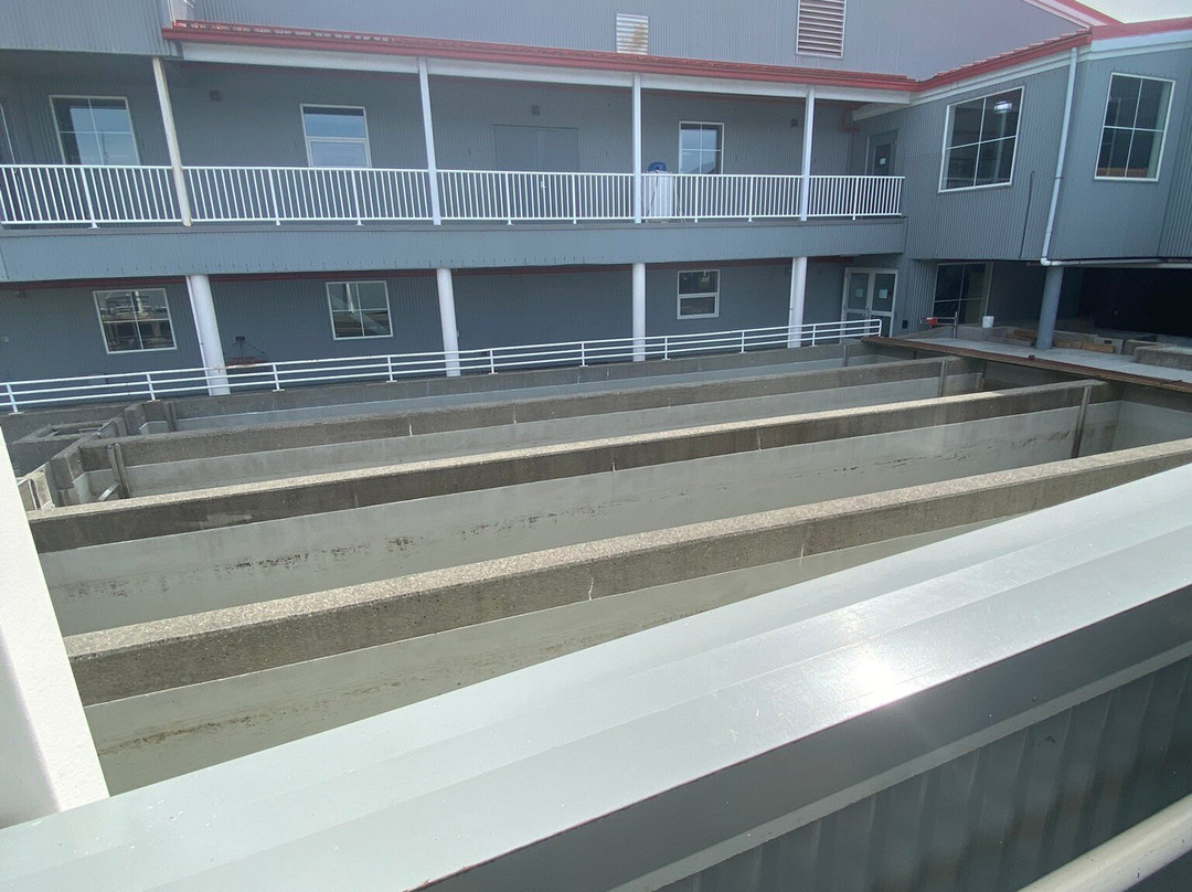 Dipac's Macaulay Salmon Hatchery-朱诺必去景点