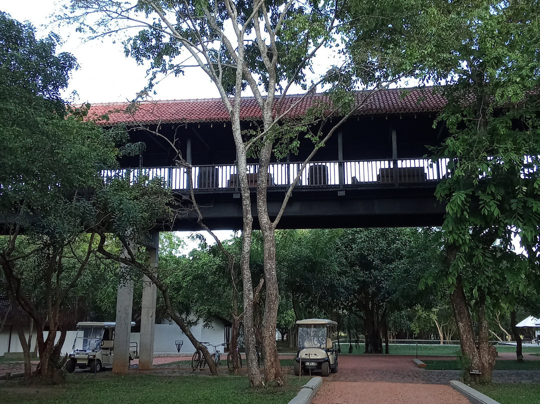 Sigiriya Jungles主图