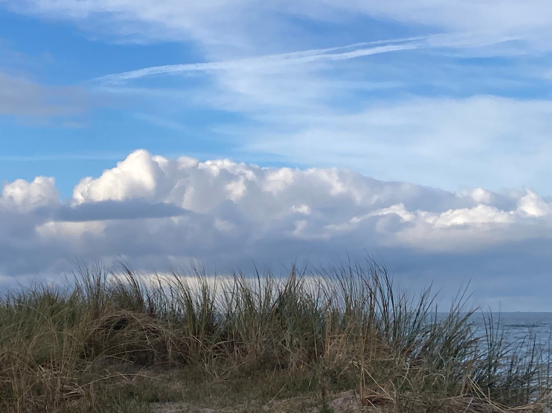 Oostkapelle Beach-Oostkapelle必去景点