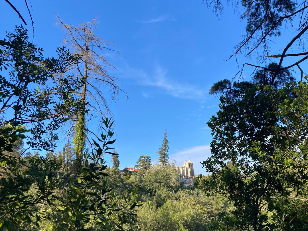 Mata Nacional dos Sete Montes景点图片