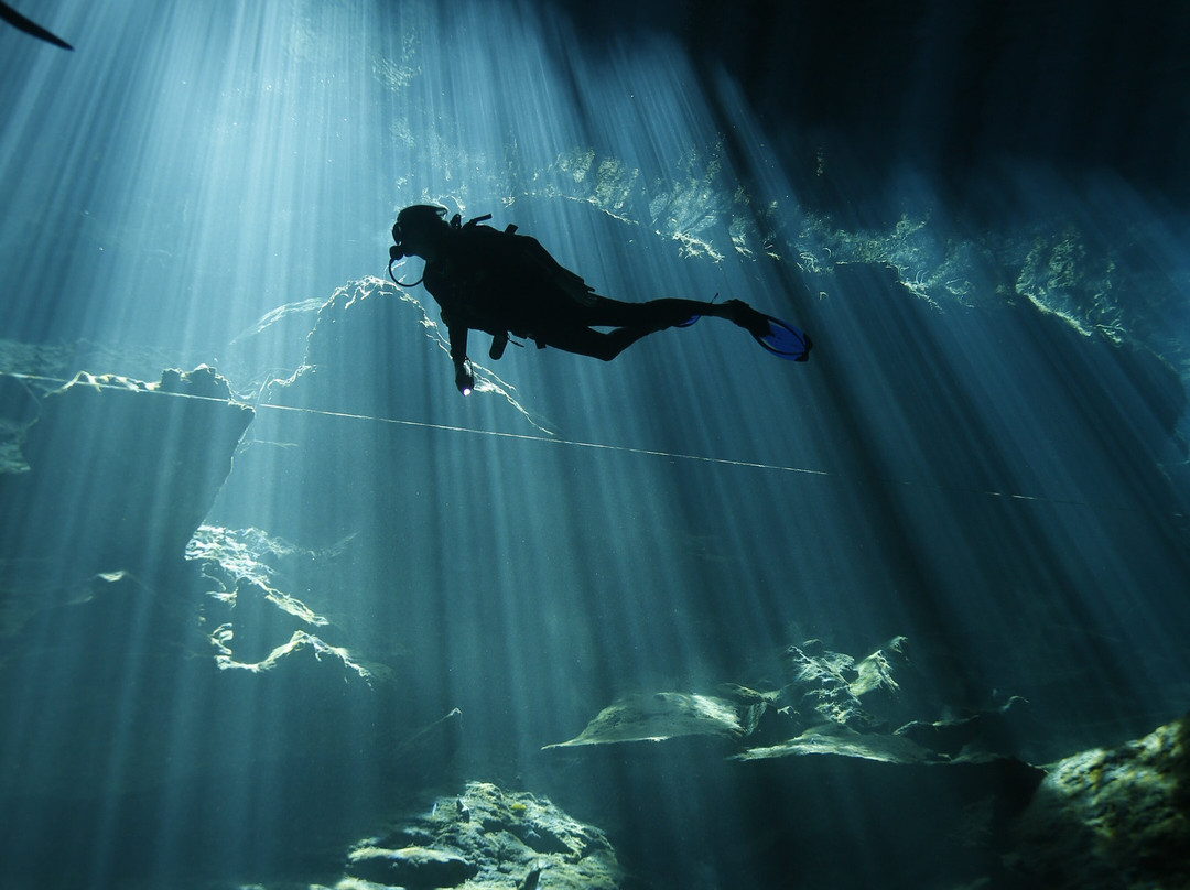 Happy Manta Cenote Diving-普拉亚德尔卡曼必去景点