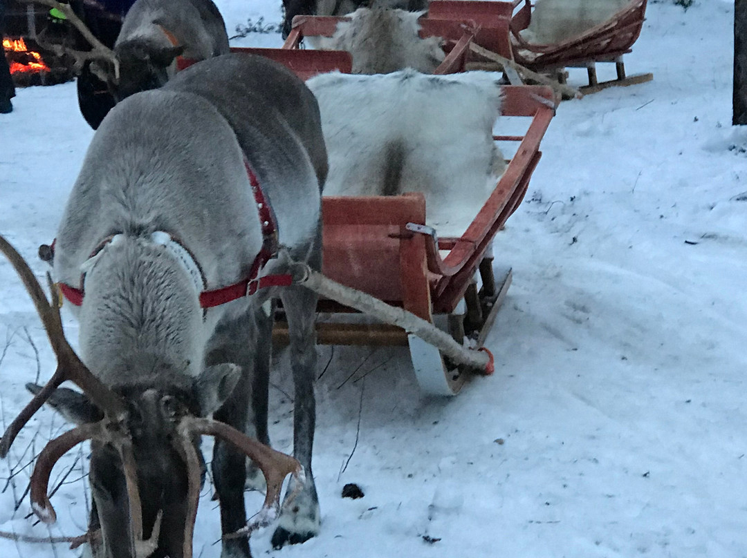 Santa's Winter Village-Pajala必去景点