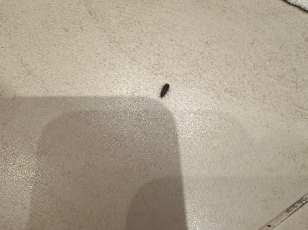 Marrakech Ryads Parc主图