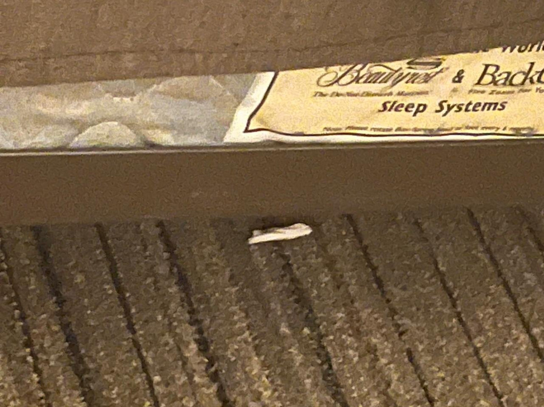 Holiday Inn Express Chihuahua by IHG主图