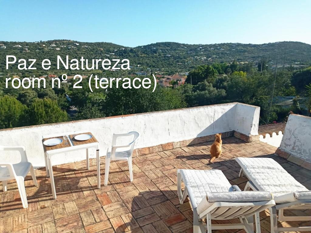 Paz E Natureza