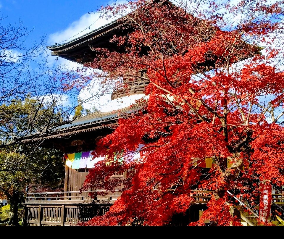 Banna-ji Temple Tahoto-足利市必去景点