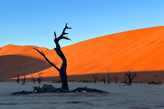 Nature Africa Safaris Namibia