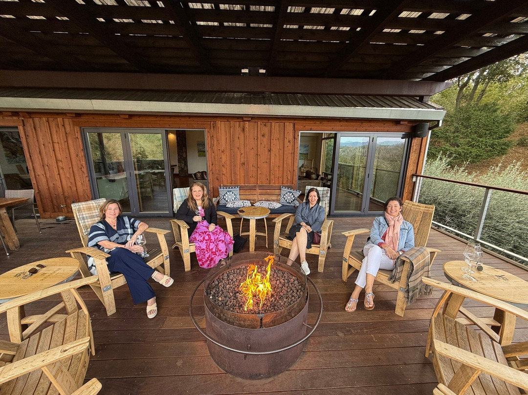 Wine Tasting With Women Drivers-纳帕必去景点