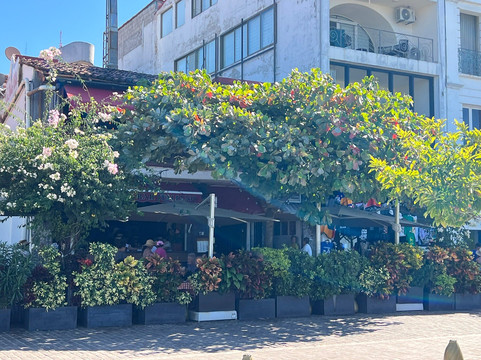 Superior Tours Vallarta-瓦拉塔港必去景点