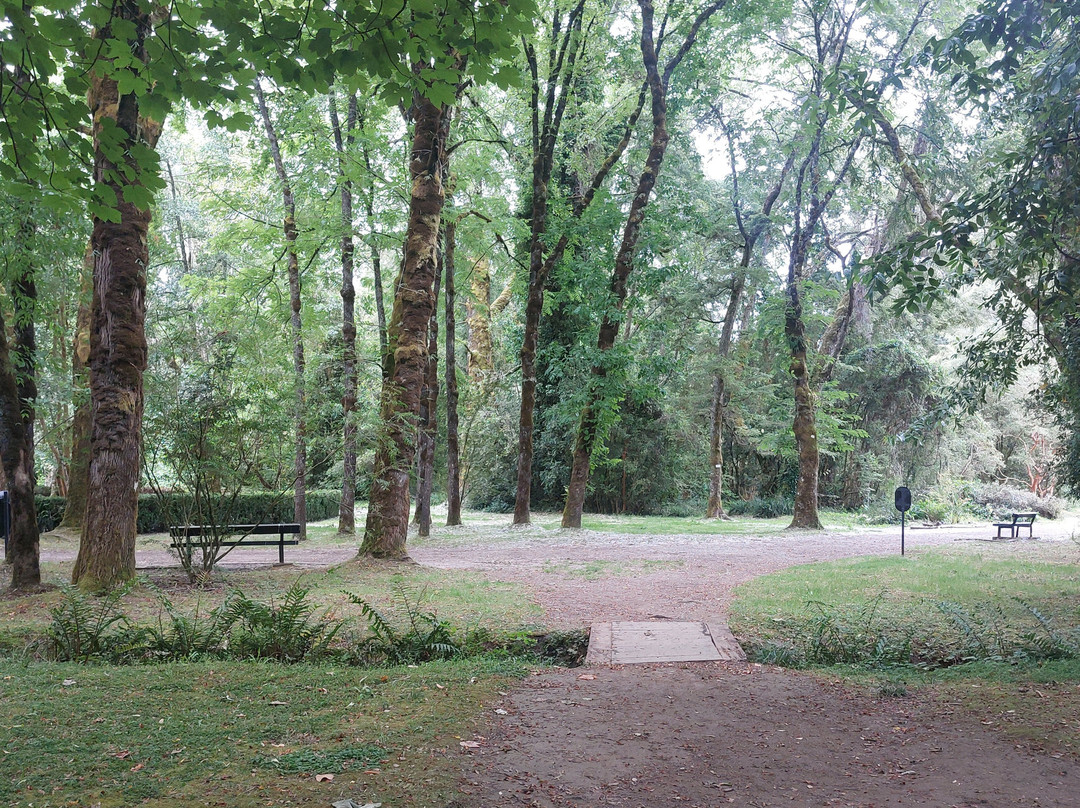 Jardin Botanico de la Universidad Austral de Chile-瓦尔迪维亚必去景点