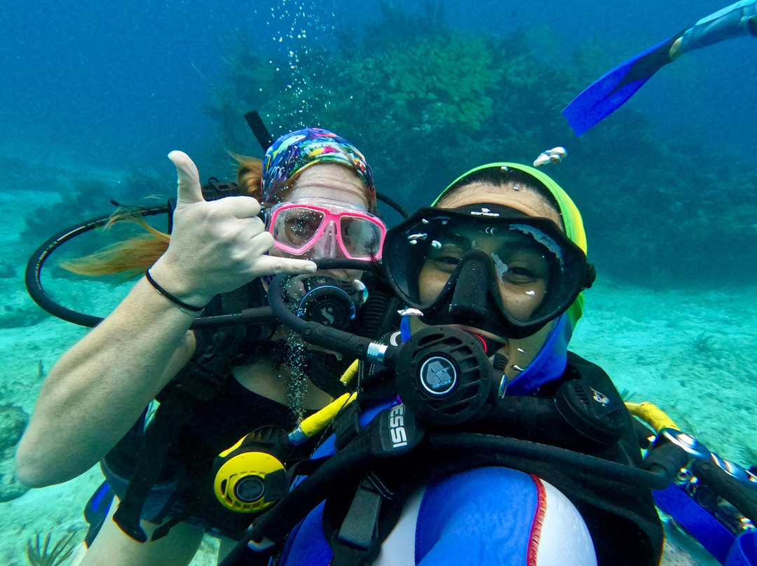 IMSEARENA-女人岛必去景点