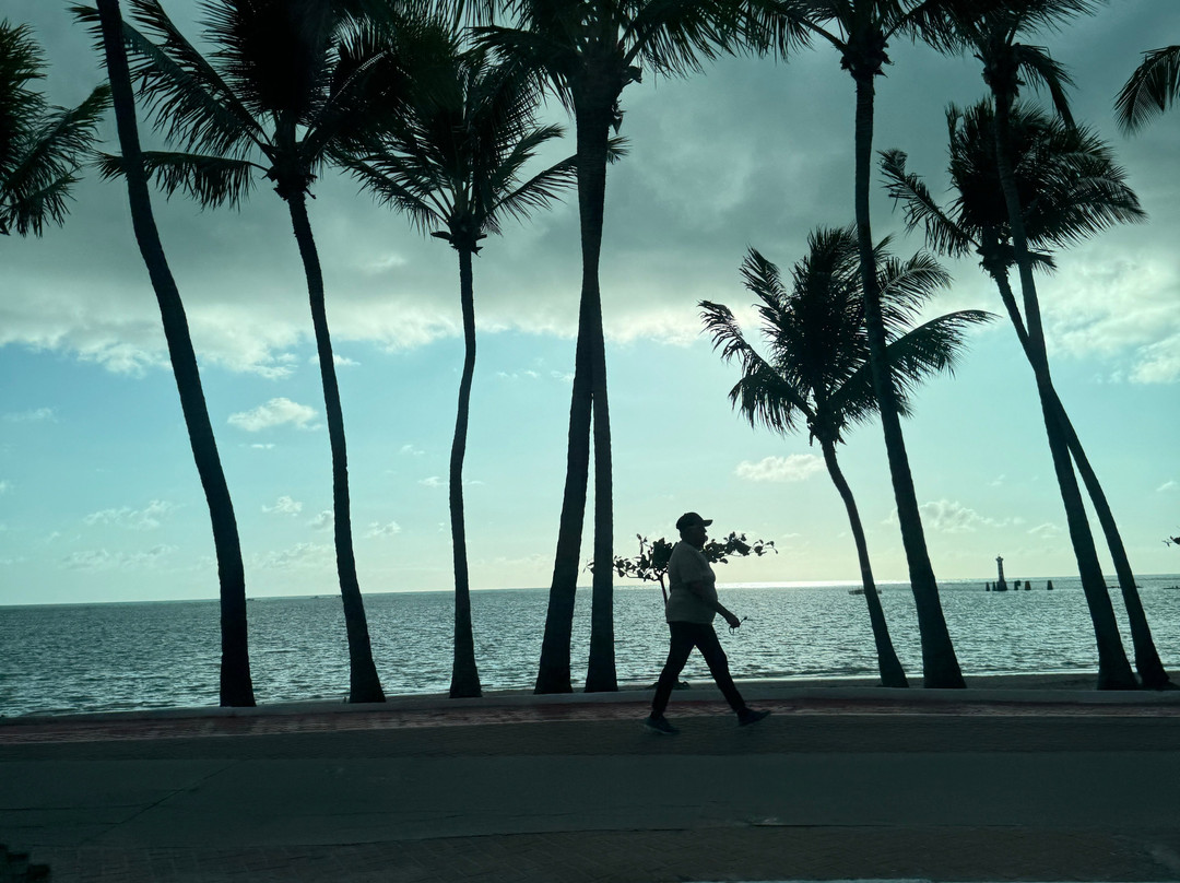 Maceió Passeios Guia Privativo Transfer - Maykon Tur景点图片