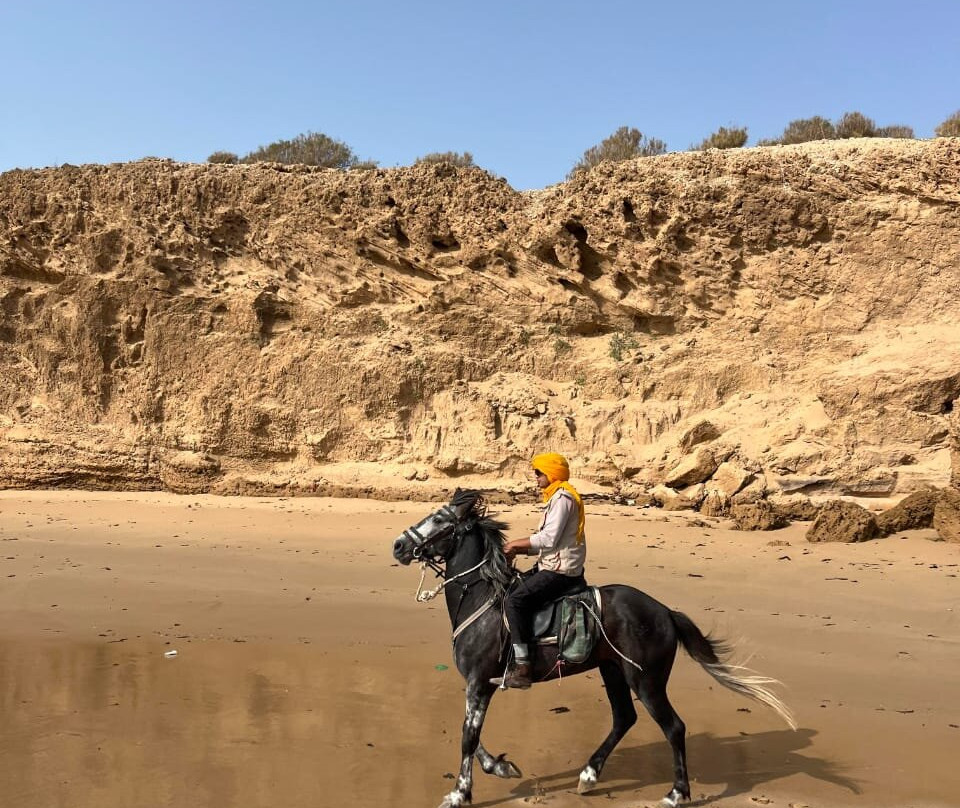 Faris Horse Riding景点图片