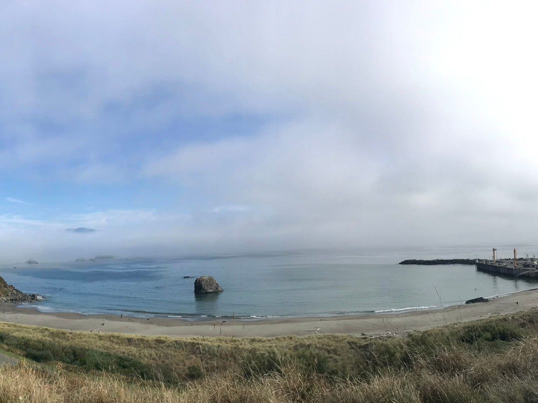 Castaway By the Sea主图