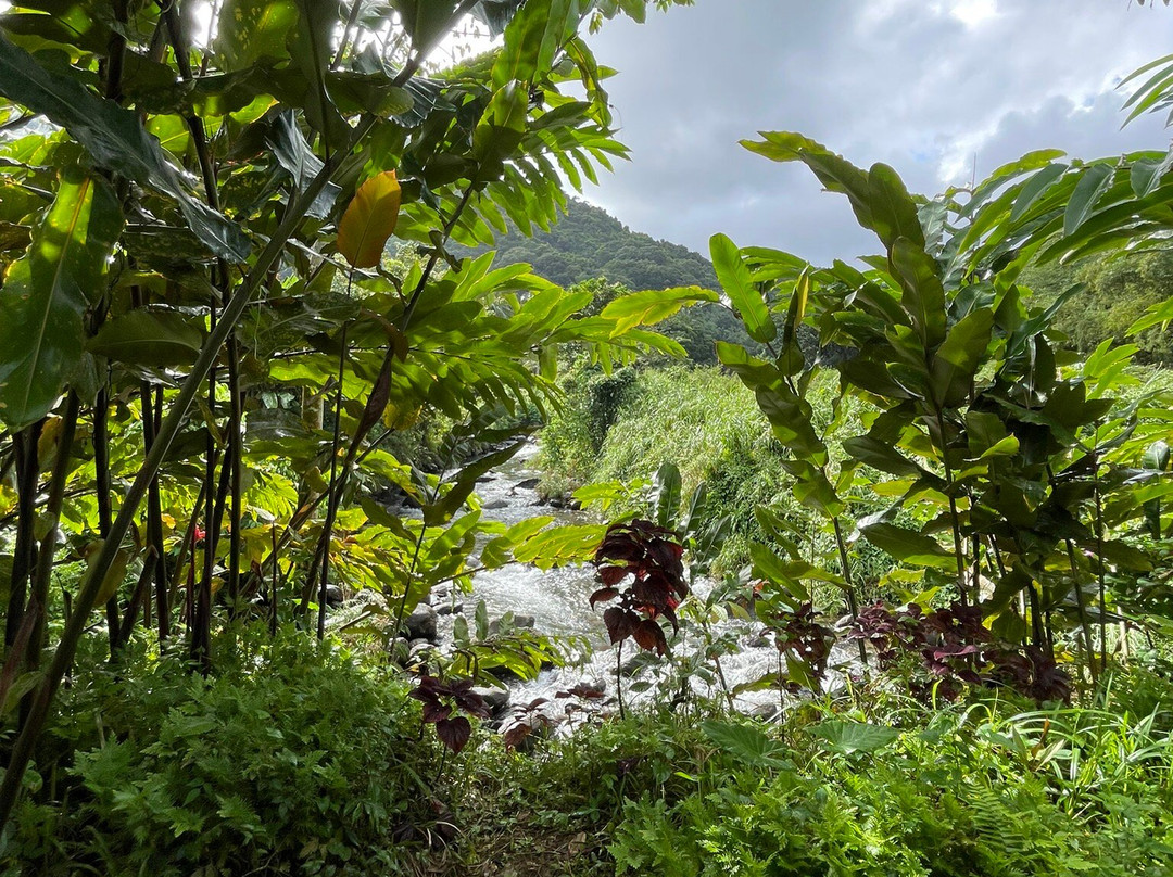 boulikibio-Saint-Joseph必去景点
