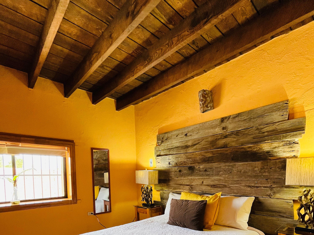 Casa Del Nopal Hotel Boutique主图