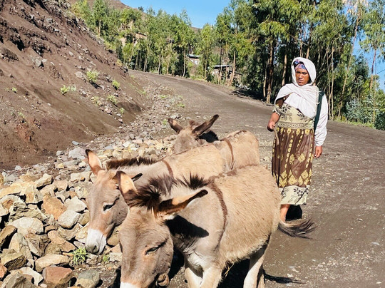Ethio Cultural Tours-亚的斯亚贝巴必去景点